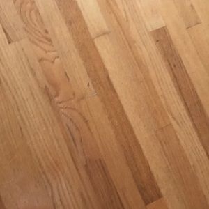 Meet your Posher, Ronald